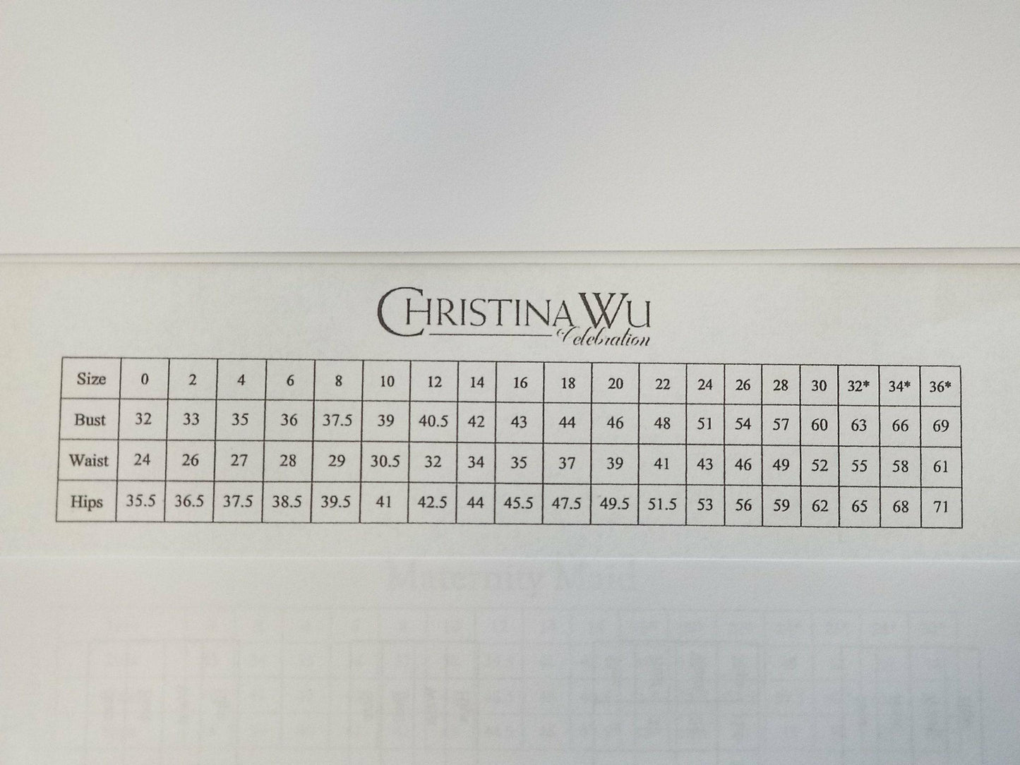 Christina Wu long formal chiffon dress 22825 in size 14